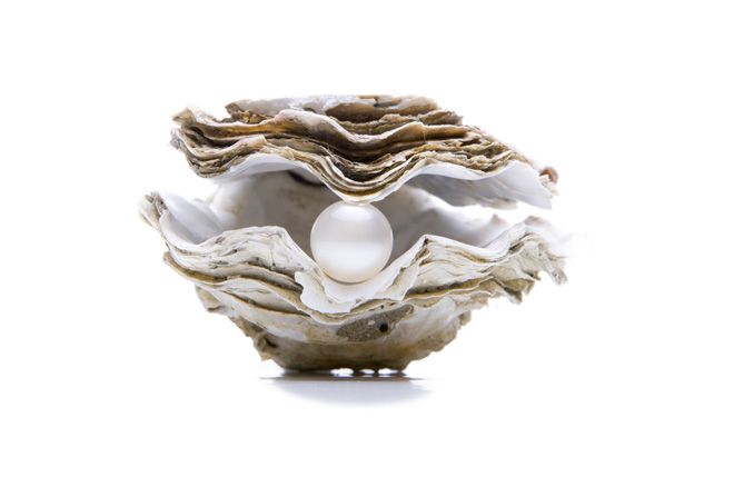 Pearl Education