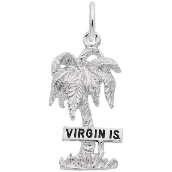 Virgin Islands Palm Tree Charm