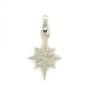 Diamond Pave Star Charm