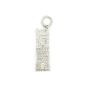 Hudson Clocktower Charm