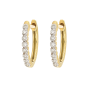 Delicate Provence Champagne Hoop Earrings