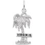 Virgin Islands Palm Tree Charm