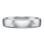 18K White Gold Wedding Band