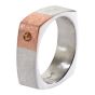 18K & Sterling Silver Band