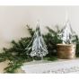 Spruce Evergreen, 6″