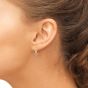 Sapphire Dante Earrings