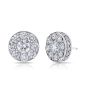Illusion Earrings