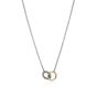 Mixed Metal Link Necklace