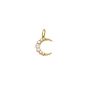 Crescent Rose Cut Diamond Charm