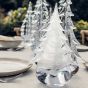 Snowdrift Evergreen