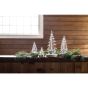 Vermont Evergreen, 4"