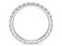 Platinum Comfort Fit Eternity Band
