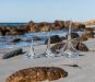 Glass Sailboat - Large