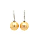 Cultured Golden South Sea Pearl Earrings