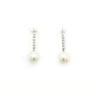 Cultured South Sea Pearl Earrings