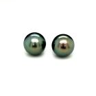 Tahitian Pearl Studs