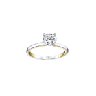 Mixed Metal Engagement Ring