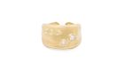 18K Gold & Diamond Ring