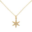 Diamond Center Star Necklace