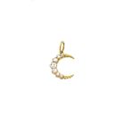 Crescent Rose Cut Diamond Charm