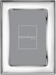 Silver Plate Frame