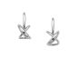Secret Heart Earring
